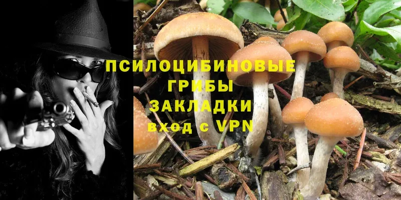 мориарти клад  KRAKEN ссылка  Псилоцибиновые грибы Psilocybe  Отрадная  цена наркотик 